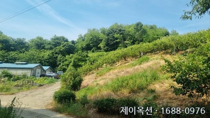 의창 토지 2024타경106941 경매 물건 사진