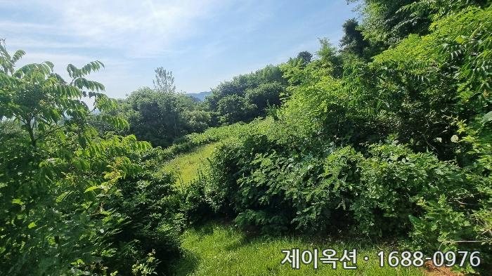 의창 토지 2024타경106941 경매 물건 사진