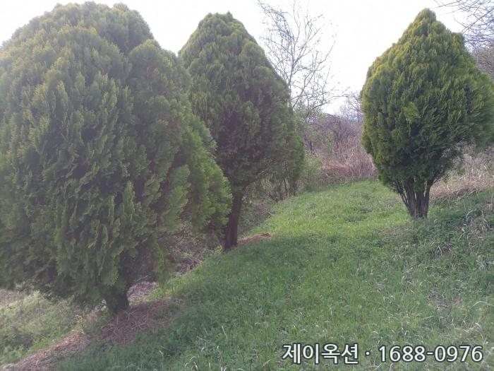 밀양 토지 2024타경10872 경매 물건 사진
