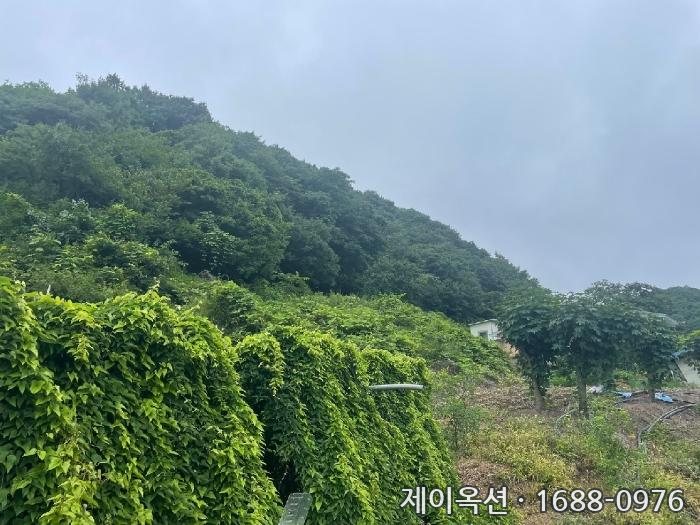 경상북도 경주시 황용동 부동산 경매 물건 사진