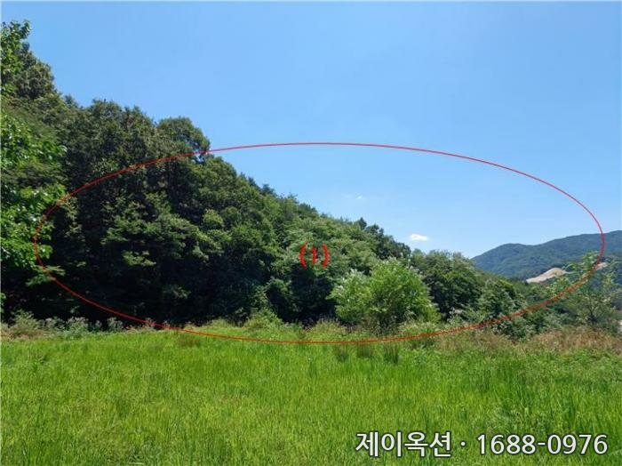 김천 토지 2024타경1568 경매 물건 사진