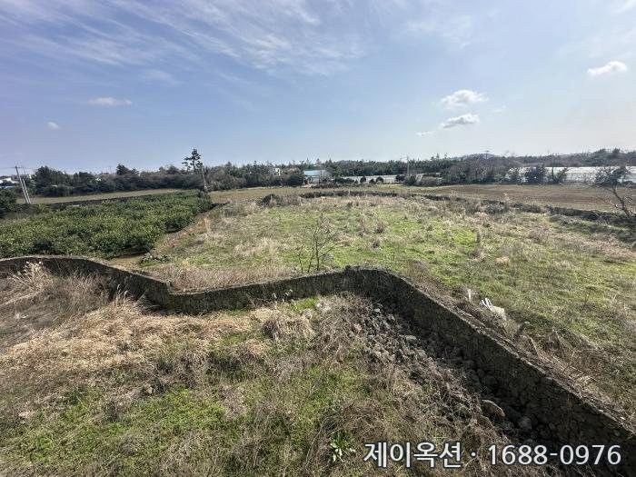 제주특별자치도 제주시 한경면 단독주택 경매 물건 사진
