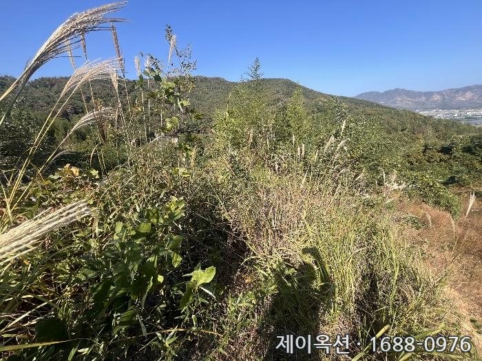 밀양 단독주택 2024타경2635 경매 물건 사진