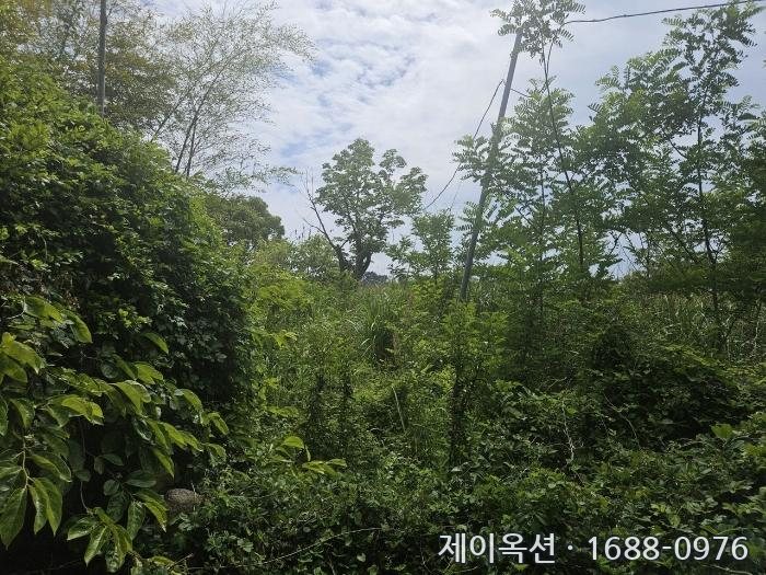 제주특별자치도 제주시 애월읍 부동산 경매 물건 사진