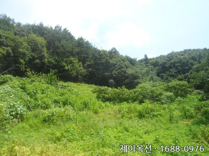 거제 토지 2024타경27761 경매 물건 사진