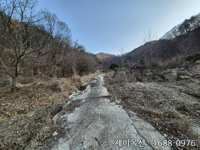 영주 토지 2024타경491 경매 물건 사진