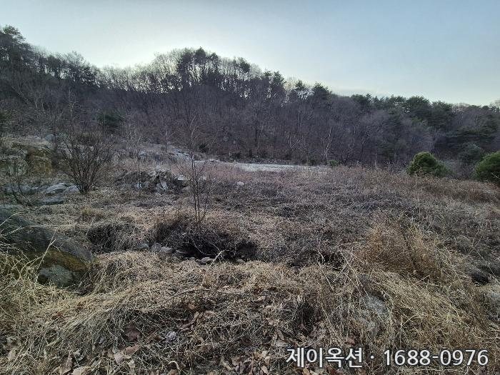 영주 토지 2024타경491 경매 물건 사진