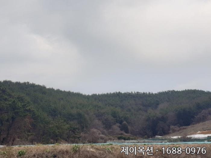 전라남도 여수시 돌산읍 부동산 경매 물건 사진