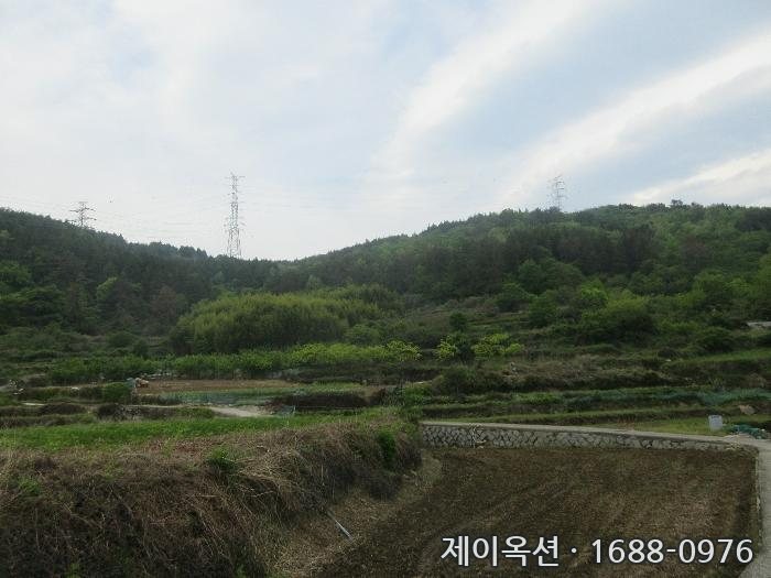 전라남도 여수시 상암동 부동산 경매 물건 사진