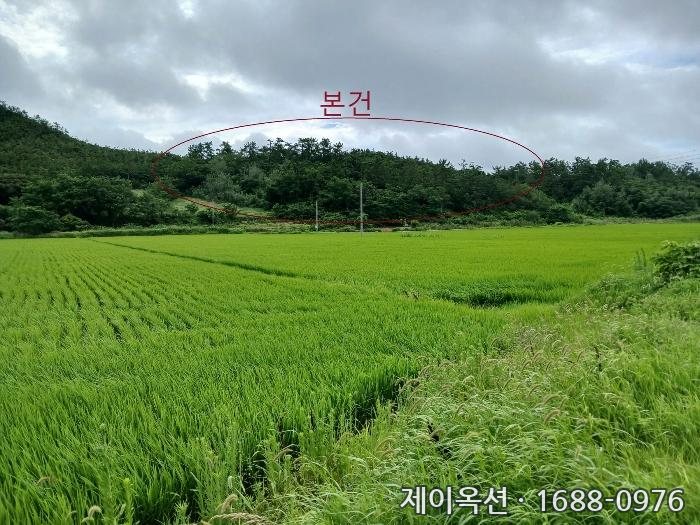 신안 토지 2024타경54397 경매 물건 사진