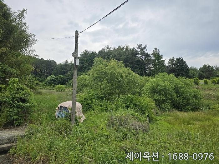 장흥 토지 2024타경5749 경매 물건 사진