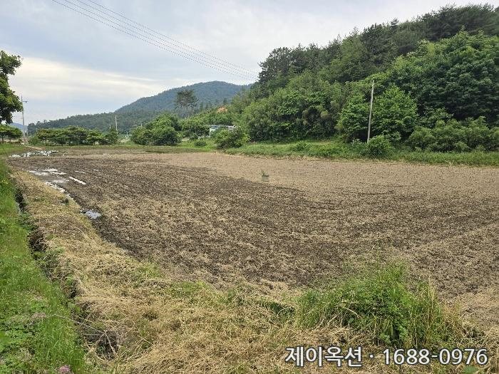 장흥 토지 2024타경5749 경매 물건 사진