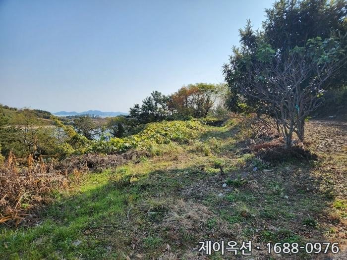 고흥 토지 2024타경62103 경매 물건 사진