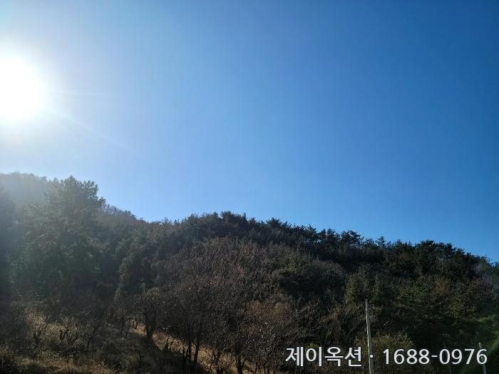 여수 토지 2024타경63199 경매 물건 사진