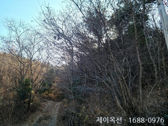 여수 토지 2024타경63199 경매 물건 사진
