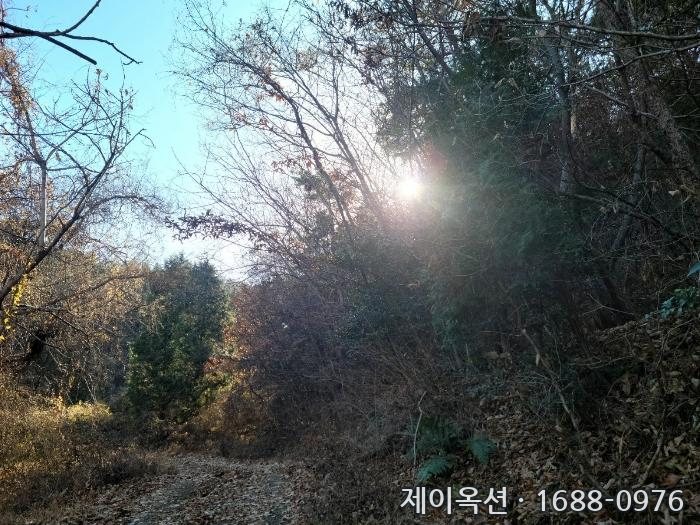 여수 토지 2024타경63199 경매 물건 사진
