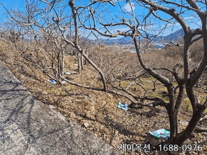 광양 토지 2025타경50992 경매 물건 사진